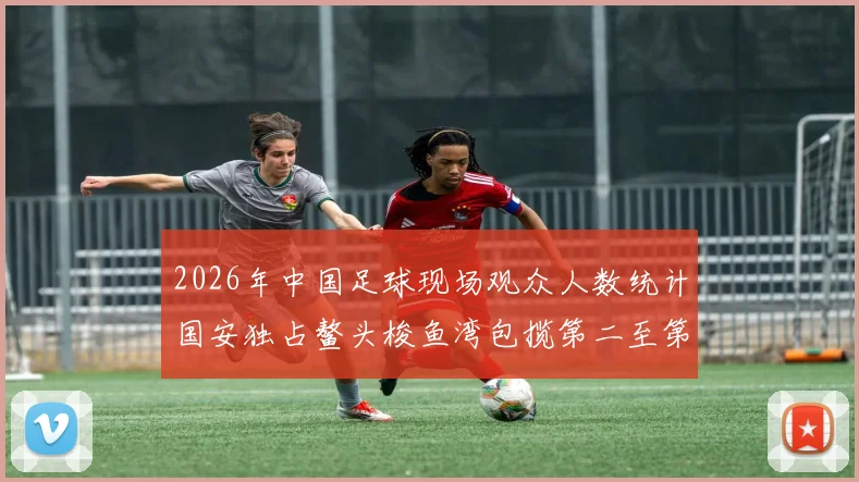 2026年中国足球现场观众人数统计国安独占鳌头梭鱼湾包揽第二至第七位